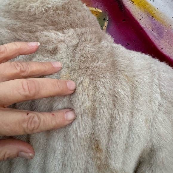 Vintage Faux Fur Coat with Unique Sleeves & Banded Collar - Medium - Picture 7 of 9